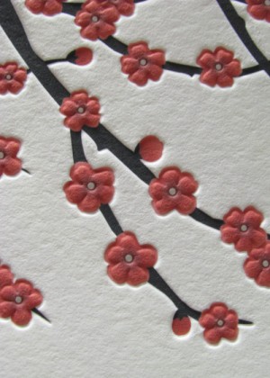 Cherry invitations