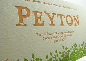 Custom Letterpress Ants Baby Announcements