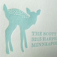 Letterpress Fawn Baby Announcement