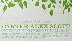 Letterpress Fawn Baby Announcement