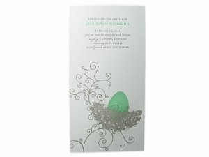 Egg in Nest Baby Announcement
