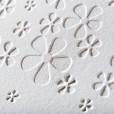 Daisies Embossed Card