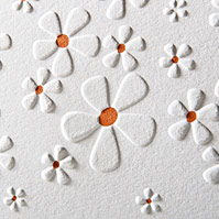 Daisies Embossed Card Daisy Flowers