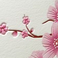 DC Cherry Blossom Festival Card