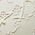 Cherry blossom cards embossed back
