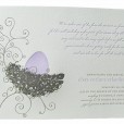 Egg in Nest Baby Announcement Baby Shower Invitations